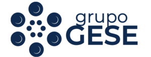 Grupo GESE – Telecomunicaciones Empresariales